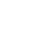 Tomboy Toes